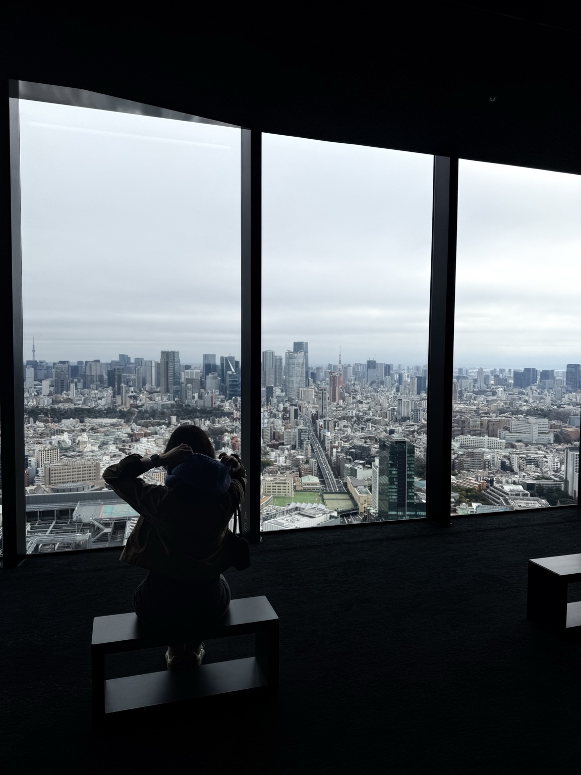 Looking out over Tokyo from a high-rise window